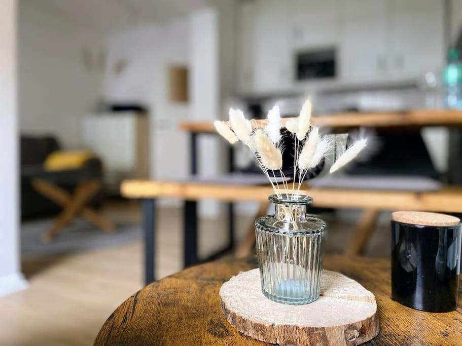 Ferienwohnung Villa Radau 巴特哈尔茨堡 外观 照片